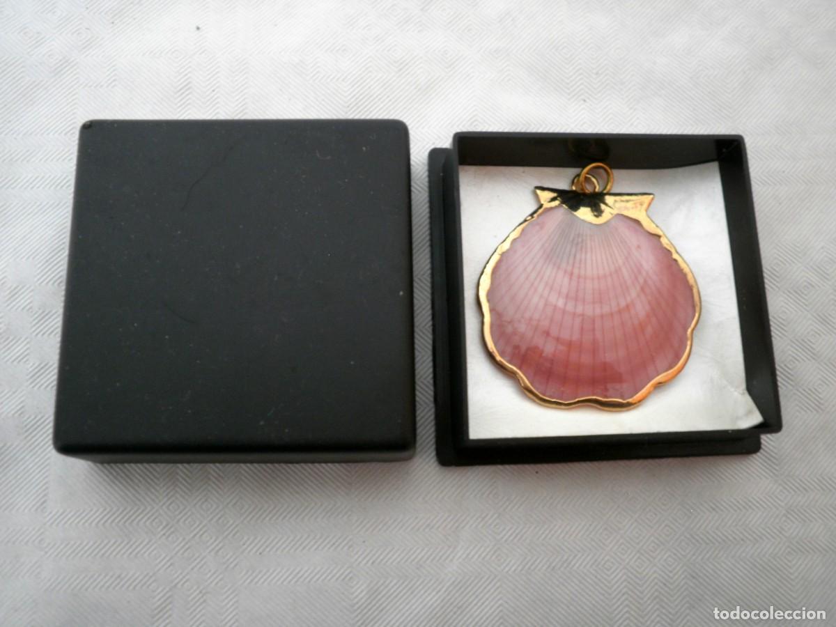Joyeria: Colgante en forma de concha con bordes dorados - Foto 1