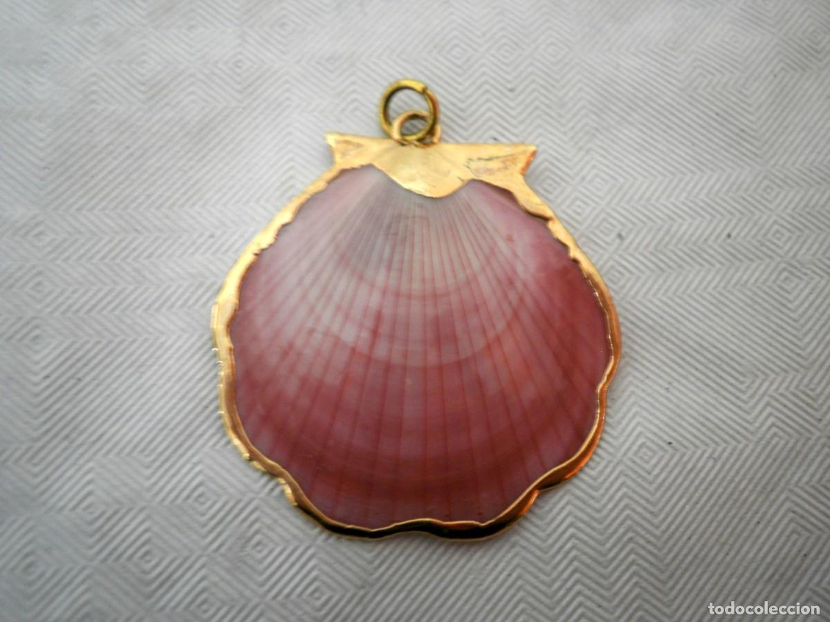 Joyeria: Colgante en forma de concha con bordes dorados - Foto 2