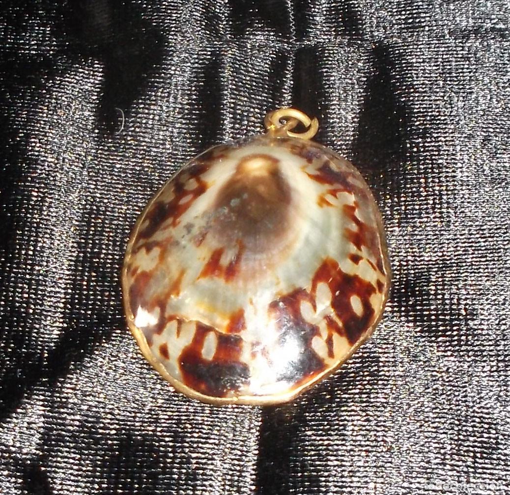 Joyeria: colgante forma de concha rematada en dorado - Foto 1