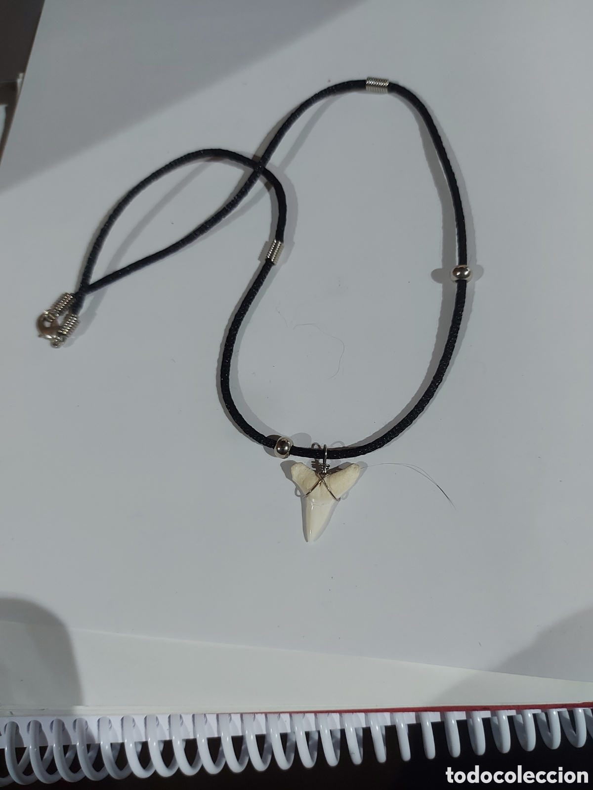 Joyeria: Colgante diente tibur&oacute;n - Foto 1