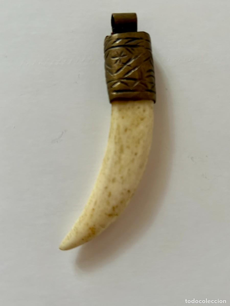 Joyeria: COLGANTE VINTAGE DECORATIVO CON FORMA DE COLMILLO EST&Eacute;TICA TRIBAL - &Eacute;TNICA c. 1985