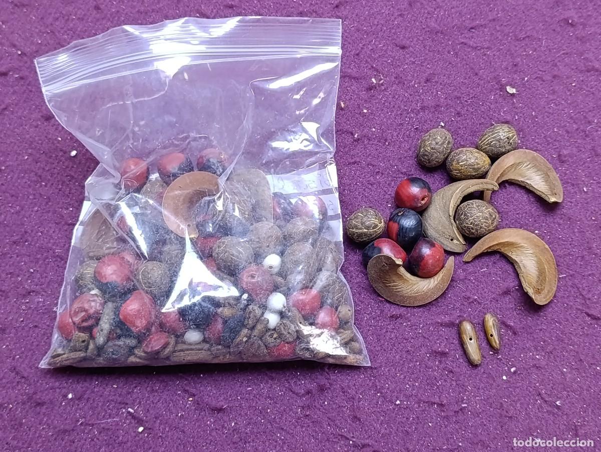 Joyeria: Amazonas, Gran Lote de semillas tropicales para bisuter&iacute;a, 1970&acute;s, preparadas
