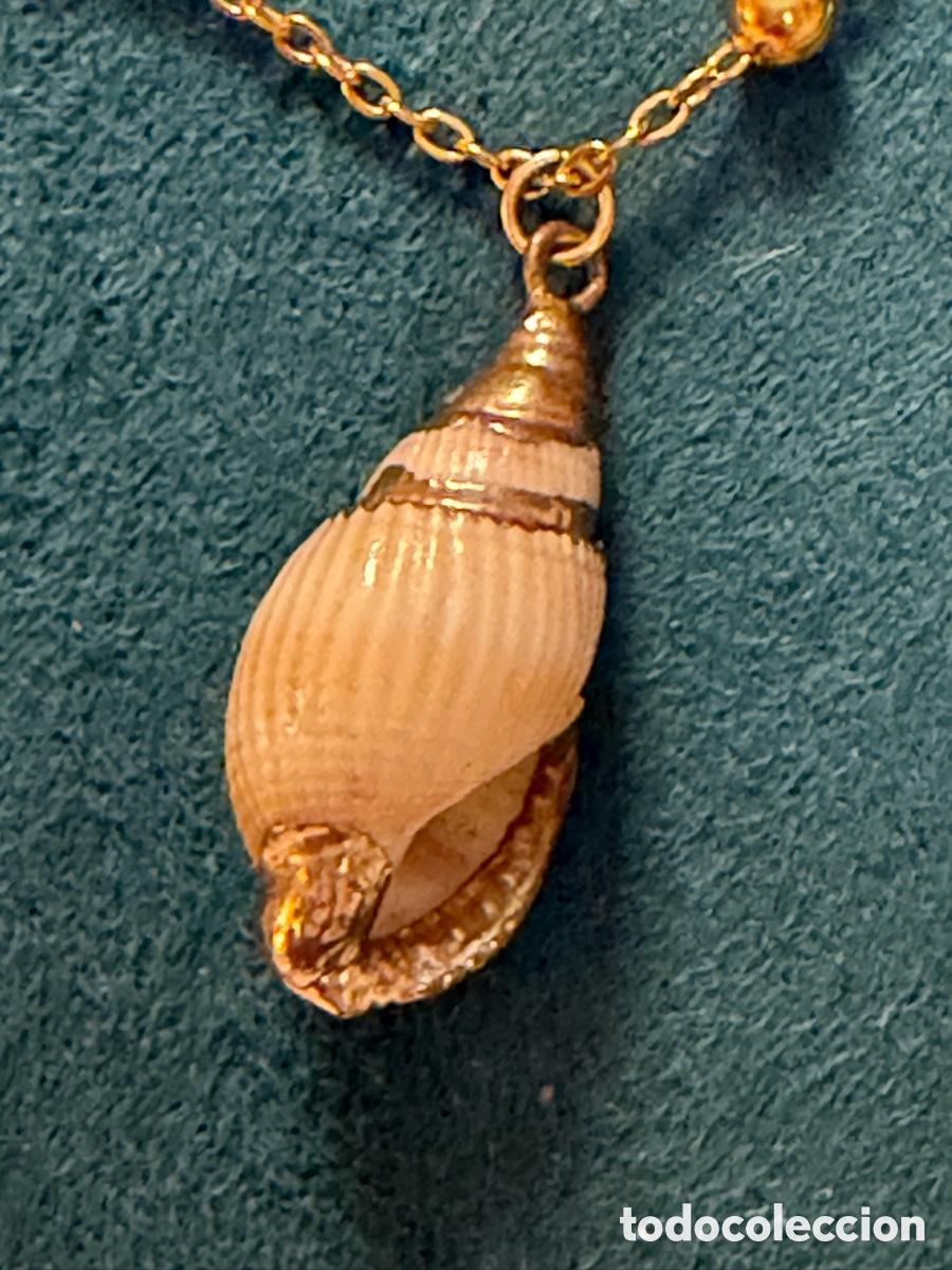 Joyeria: Cadena con colgante de concha - Foto 4
