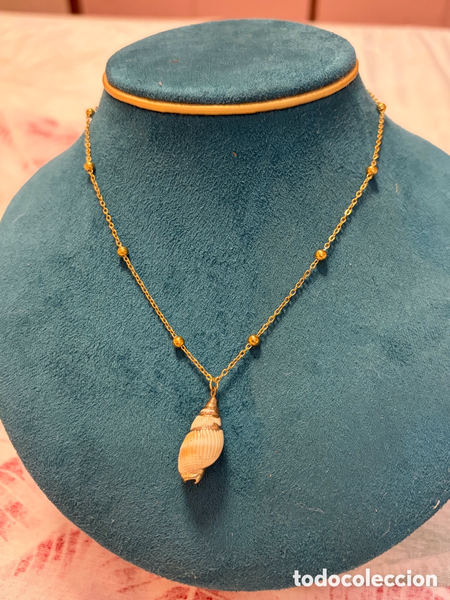 Joyeria: Cadena con colgante de concha