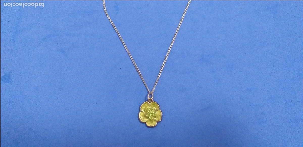 Joyeria: Cadena plateada con colgante. Colgante de flor verde