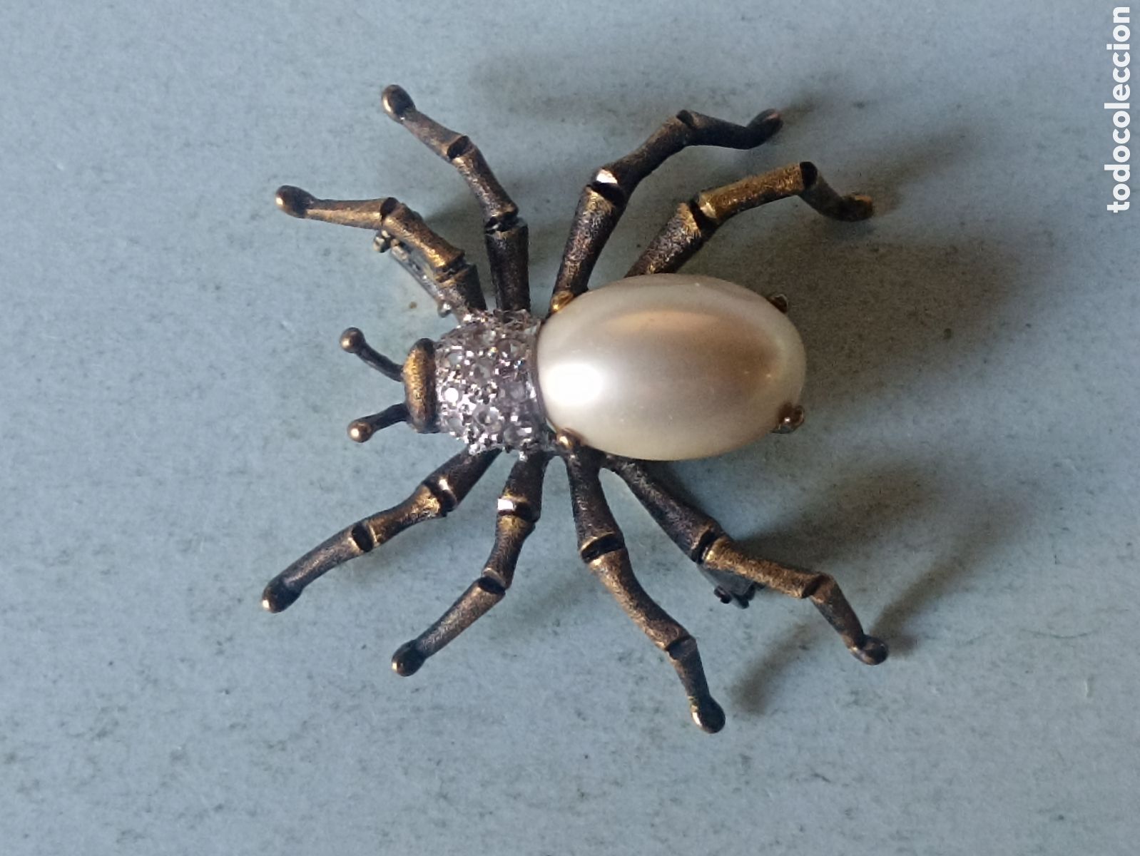 Joyeria: Broche con forma de ara&ntilde;a - Foto 1