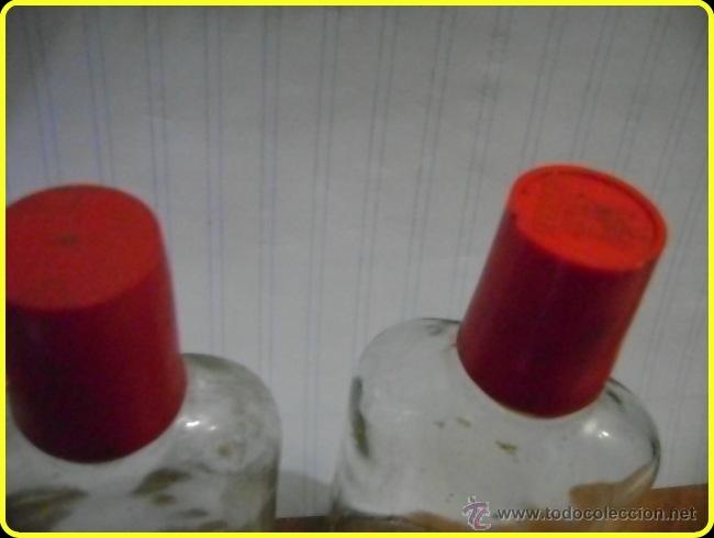 Botellas antiguas: 2 botellas botellines de Terry, de 13 cm - Foto 2