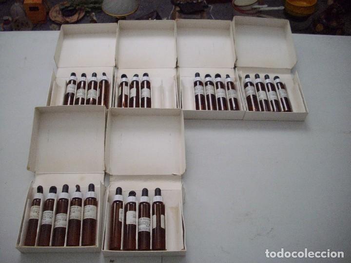 Bottiglie antiche: lote de cajas con botellas de flores de bach