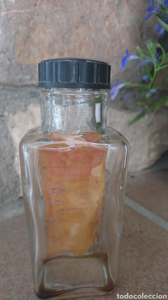 Botellas antiguas: botella medicamento Calcetal. - Foto 3