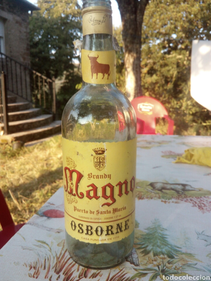 Botellas antiguas: Botella vacia de Magno - Foto 1