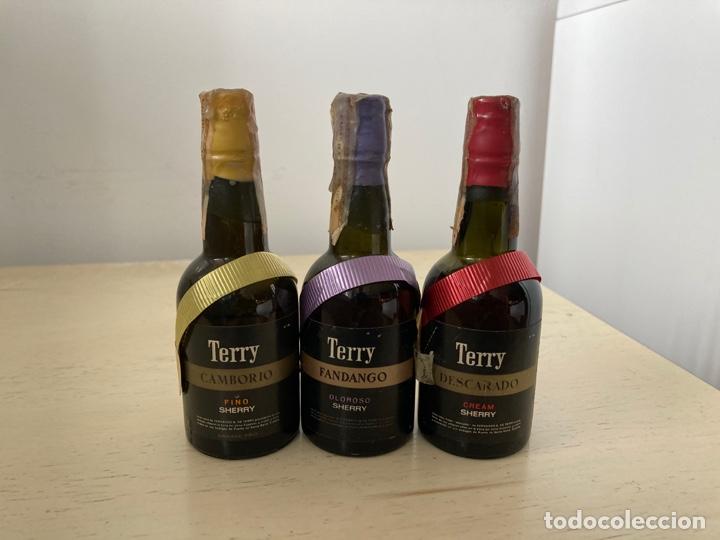 Botellas antiguas: Colecci&oacute;n de botellas miniatura Terry - Foto 1