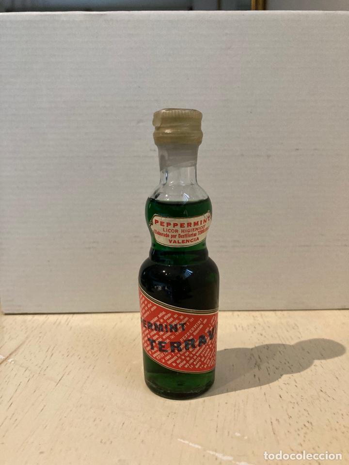 Botellas antiguas: Botell&iacute;n Peppermint Terravill. - Foto 1