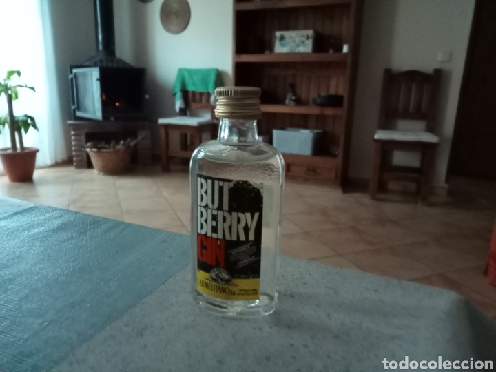 Alte Flaschen: Botellita Ginebra But Berry