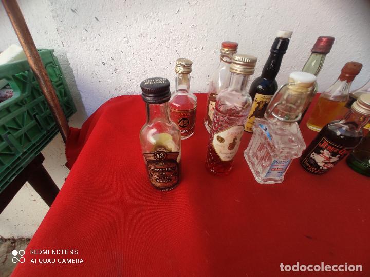Botellas antiguas: 13 botellas peque&ntilde;as coleccionables - Foto 2