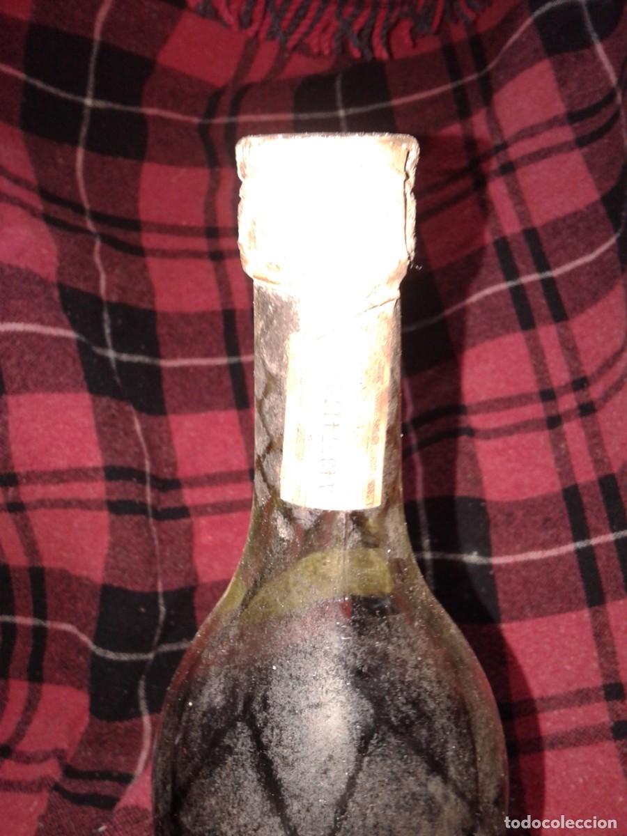 Botellas antiguas: Antigua Botella de Brandy Terry, Tr - Foto 3