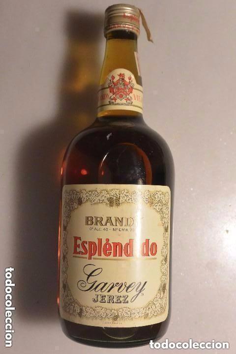 Botellas antiguas: Licor Brandy Espl&eacute;ndido botella antigua - Foto 1