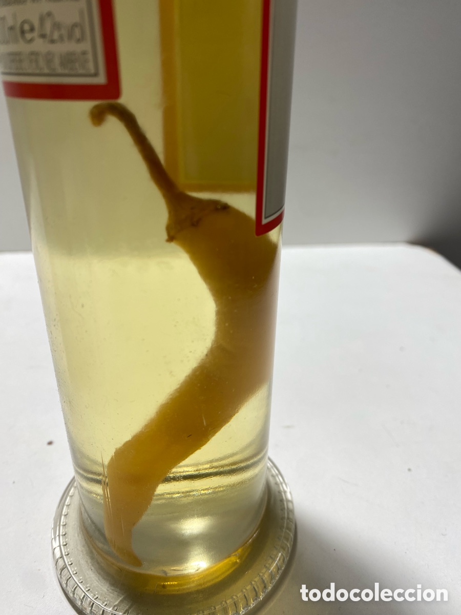 Botellas antiguas: BOTELLA GRAPPEPE. - Foto 5