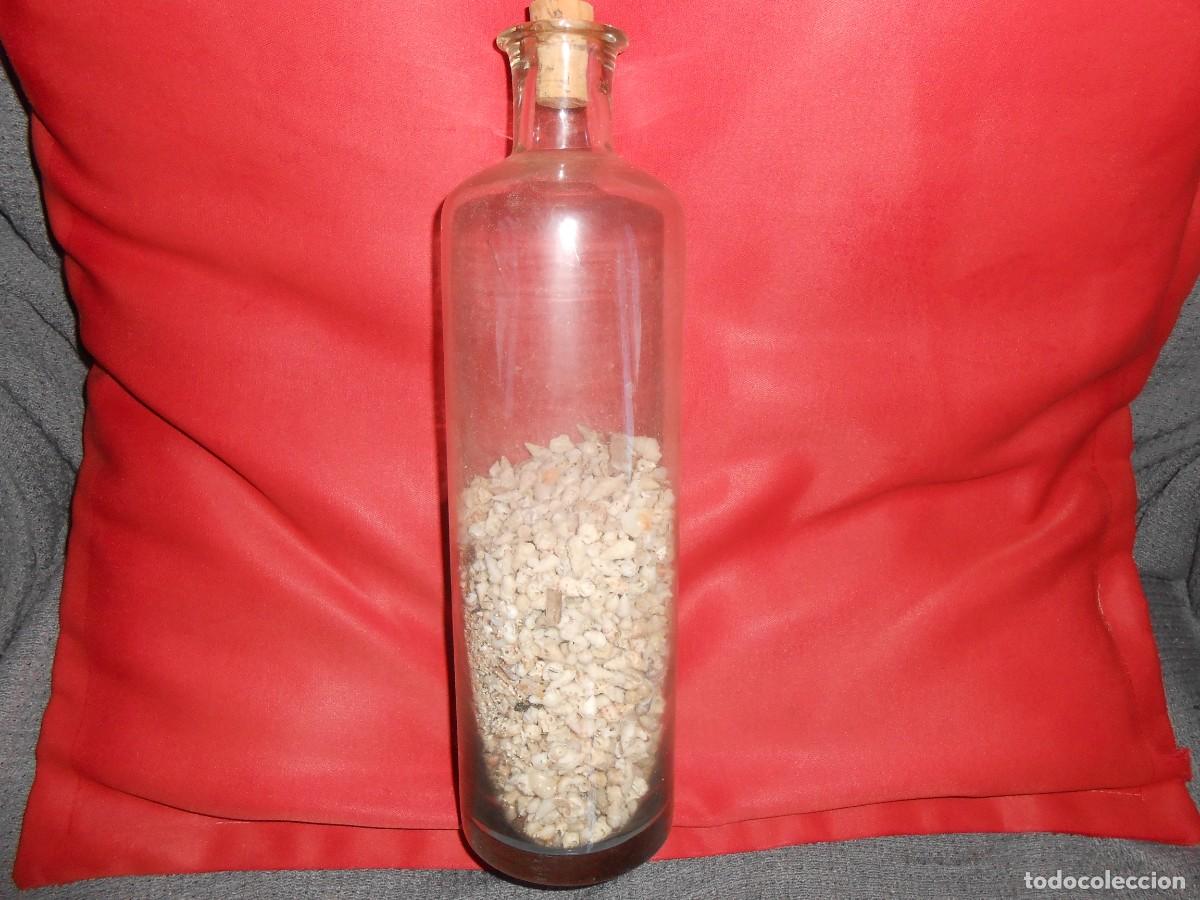 Botellas antiguas: Botella con peque&ntilde;as Conchas - Foto 1