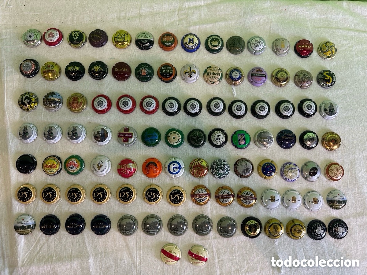 Botellas antiguas: lote colecci&oacute;n 100 placas de cava y champagne variadas para coleccionistas