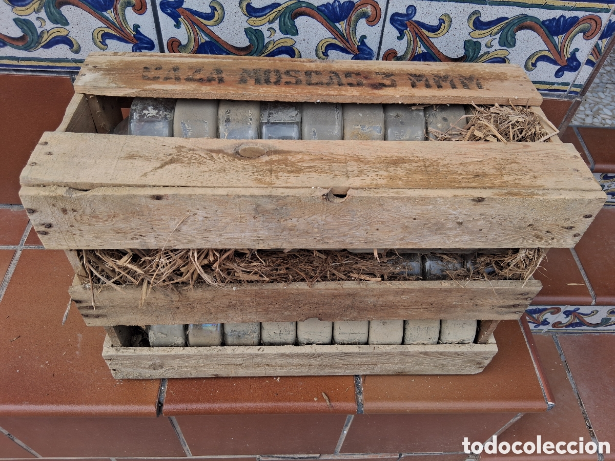 Botellas antiguas: Caja con 54 botellas para los &aacute;rboles caza insectos de cristal &aacute;rbol olivo vi&ntilde;a vino parra