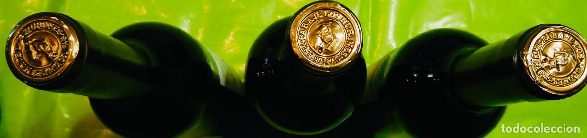 Botellas antiguas: Vino de languedoc, cosecha de 2019, conservado siempre en bodega