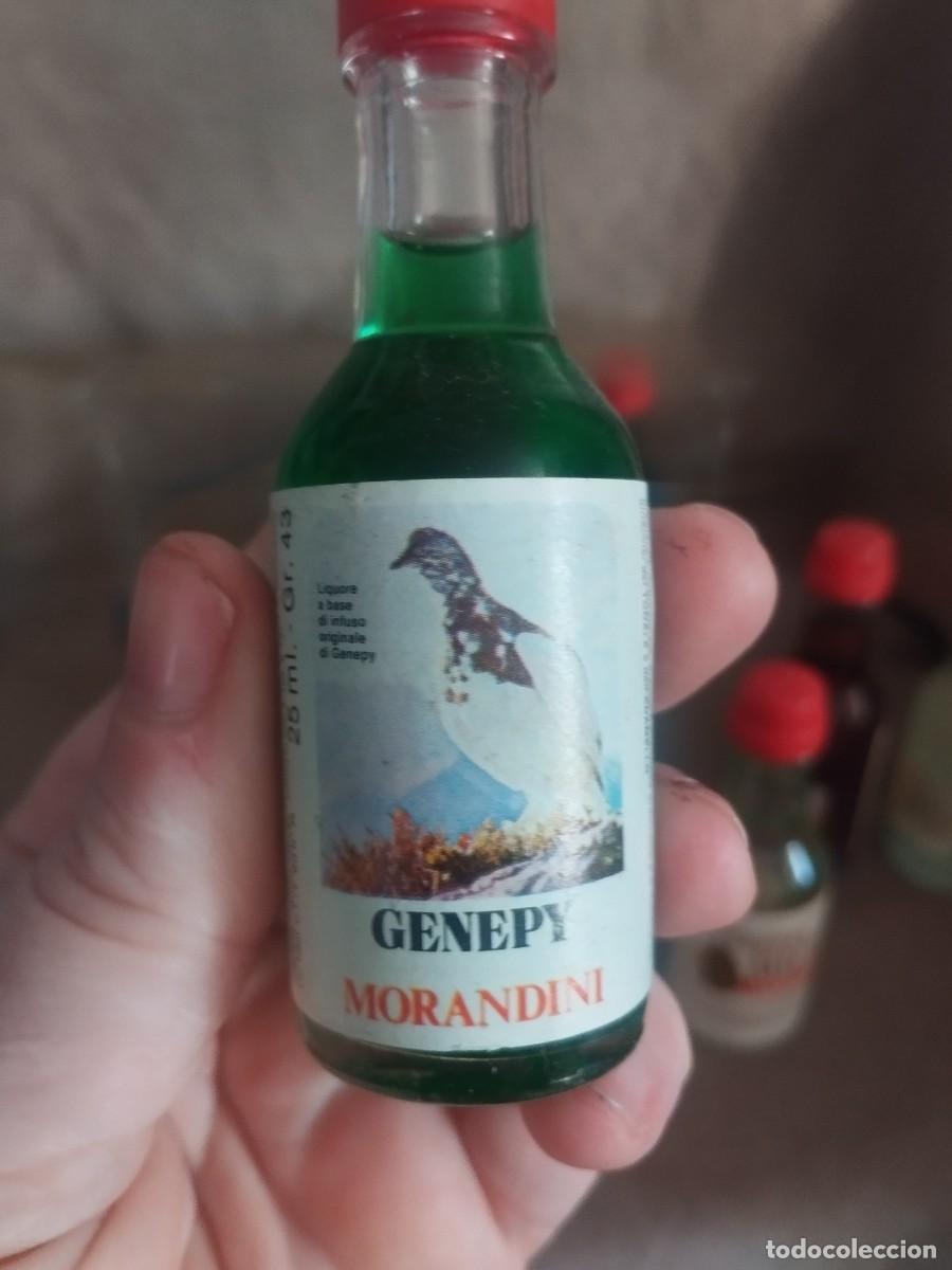 Botellas antiguas: Colecci&oacute;n morandini botellines - Foto 4