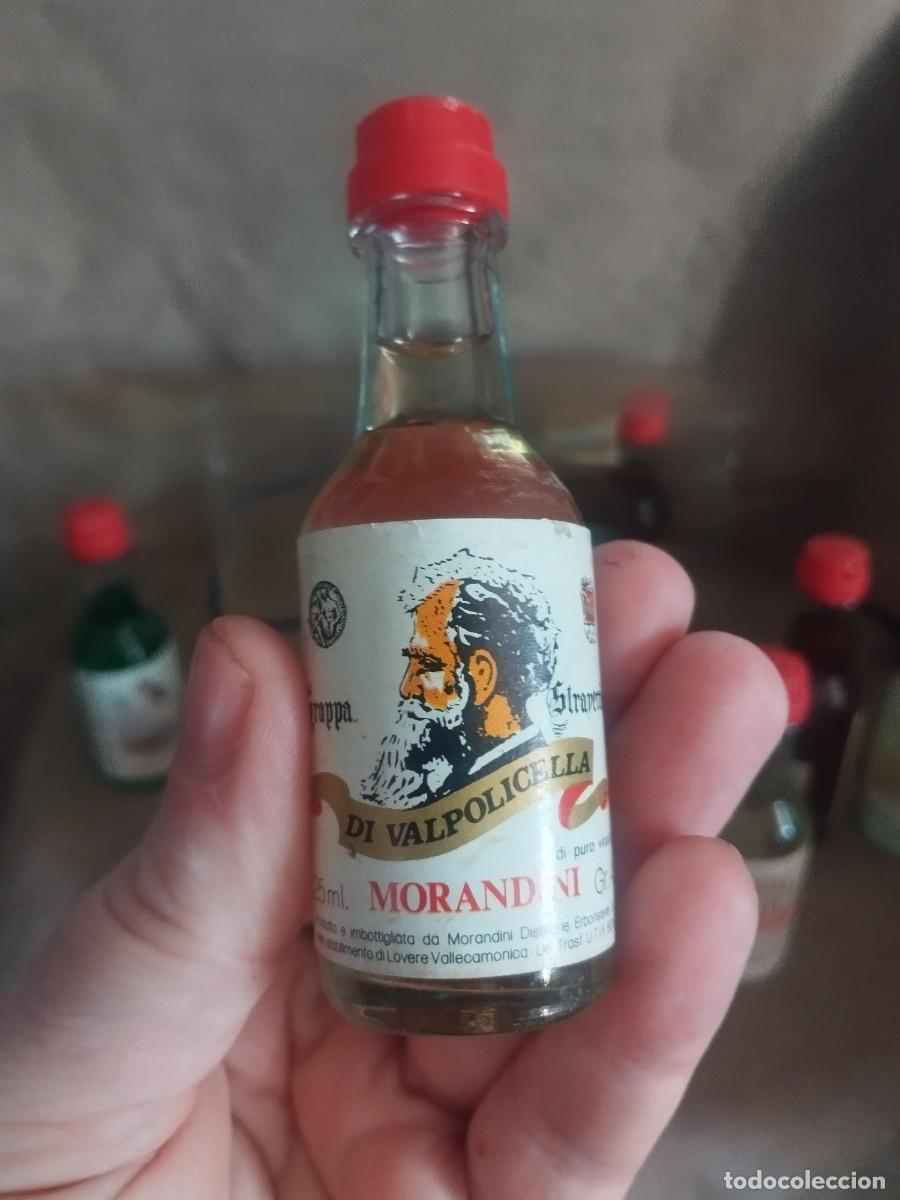 Botellas antiguas: Colecci&oacute;n morandini botellines - Foto 5