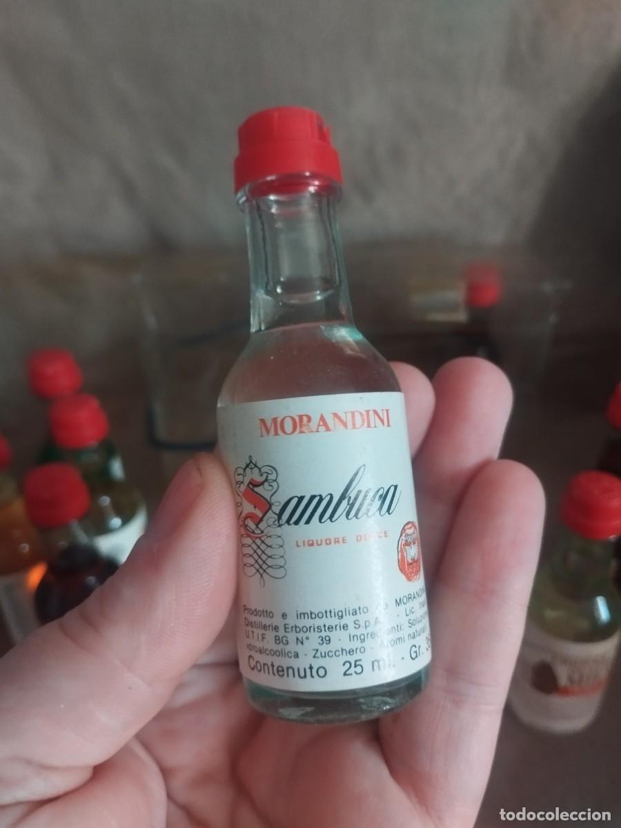 Botellas antiguas: Colecci&oacute;n morandini botellines - Foto 8