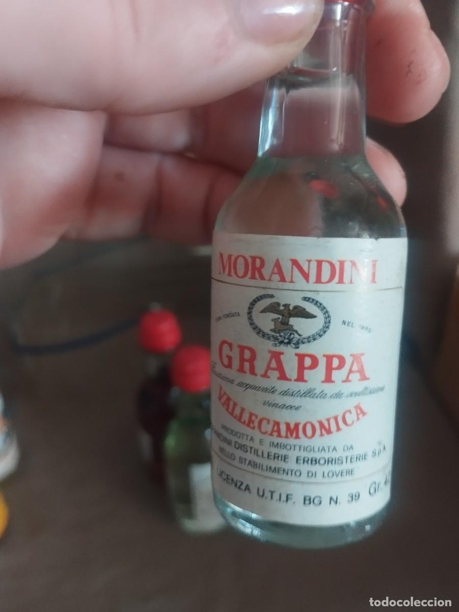 Botellas antiguas: Colecci&oacute;n morandini botellines - Foto 12