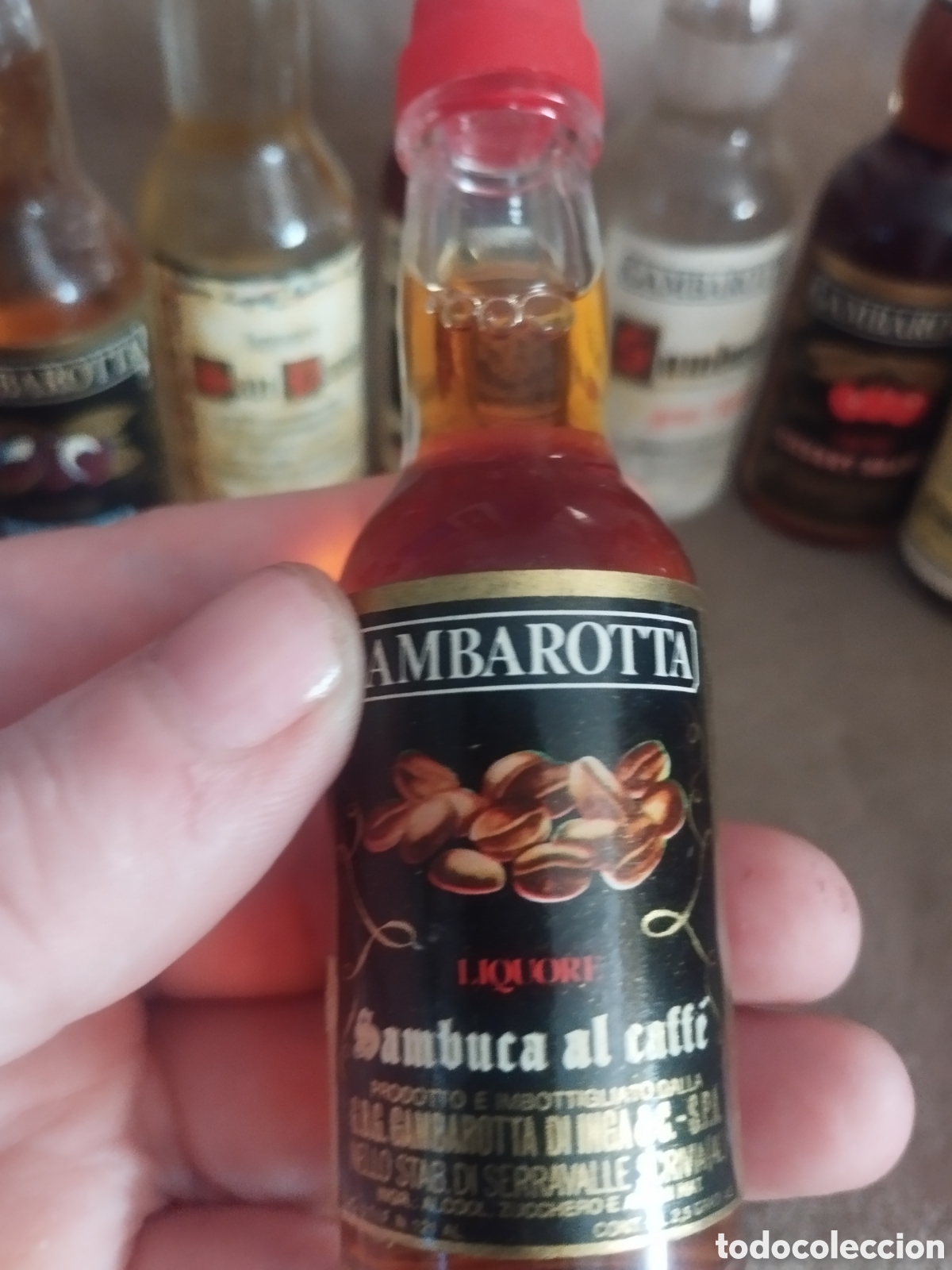 Botellas antiguas: Colecci&oacute;n botellines gambarotta - Foto 3