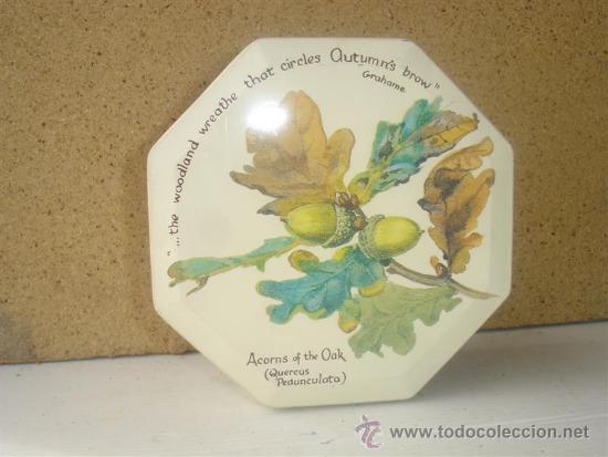 Cajas y cajitas met&aacute;licas: caja exagonal lata - Foto 2