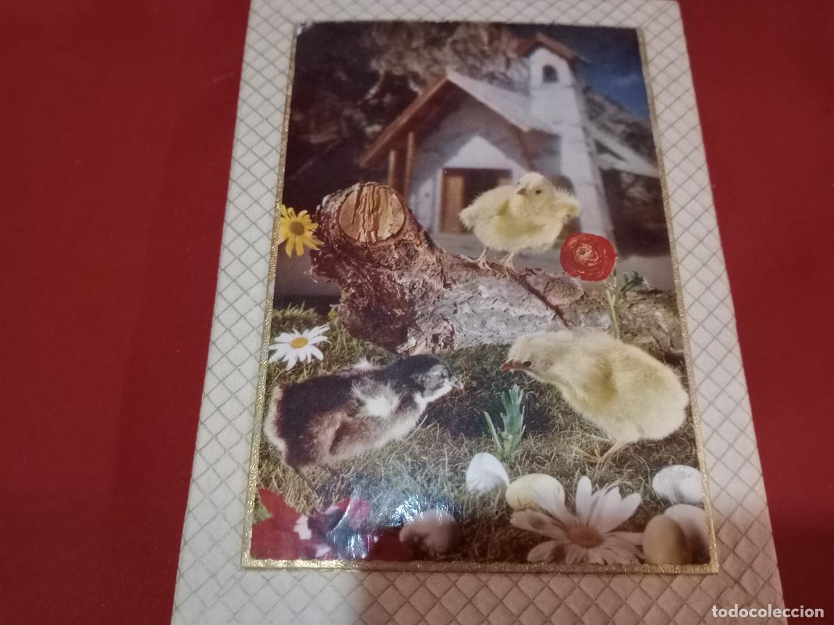 Cajas y cajitas met&aacute;licas: caja de carton - Foto 2