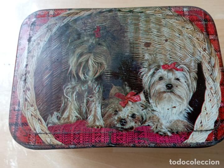 Cajas y cajitas met&aacute;licas: ANTIGUA CAJA DE CHAPA INGLESA, CON PERRITOS SERIGRAFIADOS
