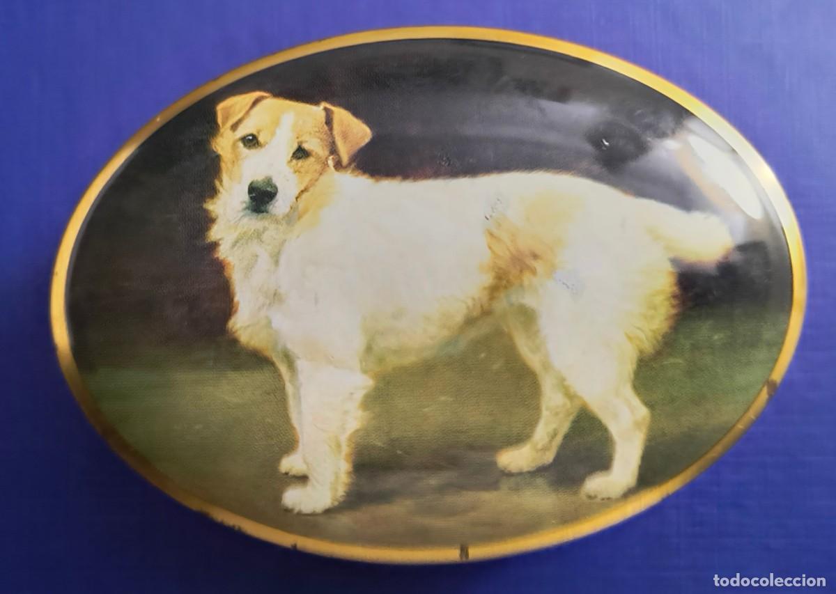 Cajas y cajitas met&aacute;licas: CAJITA INGLESA DE METAL DE PERRO - Foto 1