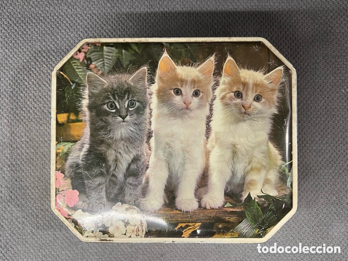 Blechdosen und Kisten: GATOS. Hermosa caja litograf&iacute;ada inglesa de galletas.. (h.1950?) Med&iacute;das: 24 x 20 x 9 cm