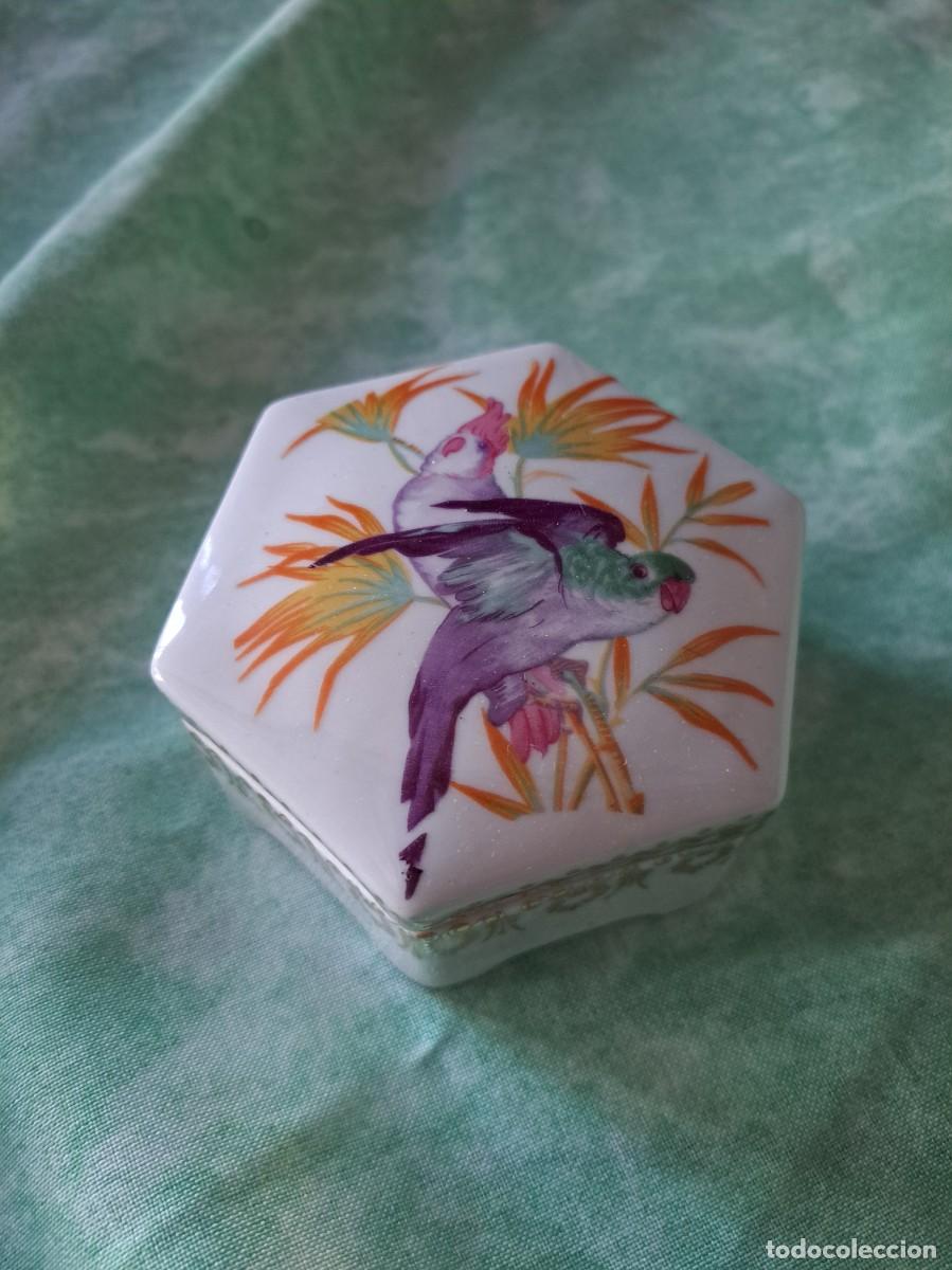 Cajas y cajitas met&aacute;licas: Precioso joyero hexagonal de porcelana pintado a mano, cotorras aves exoticas.