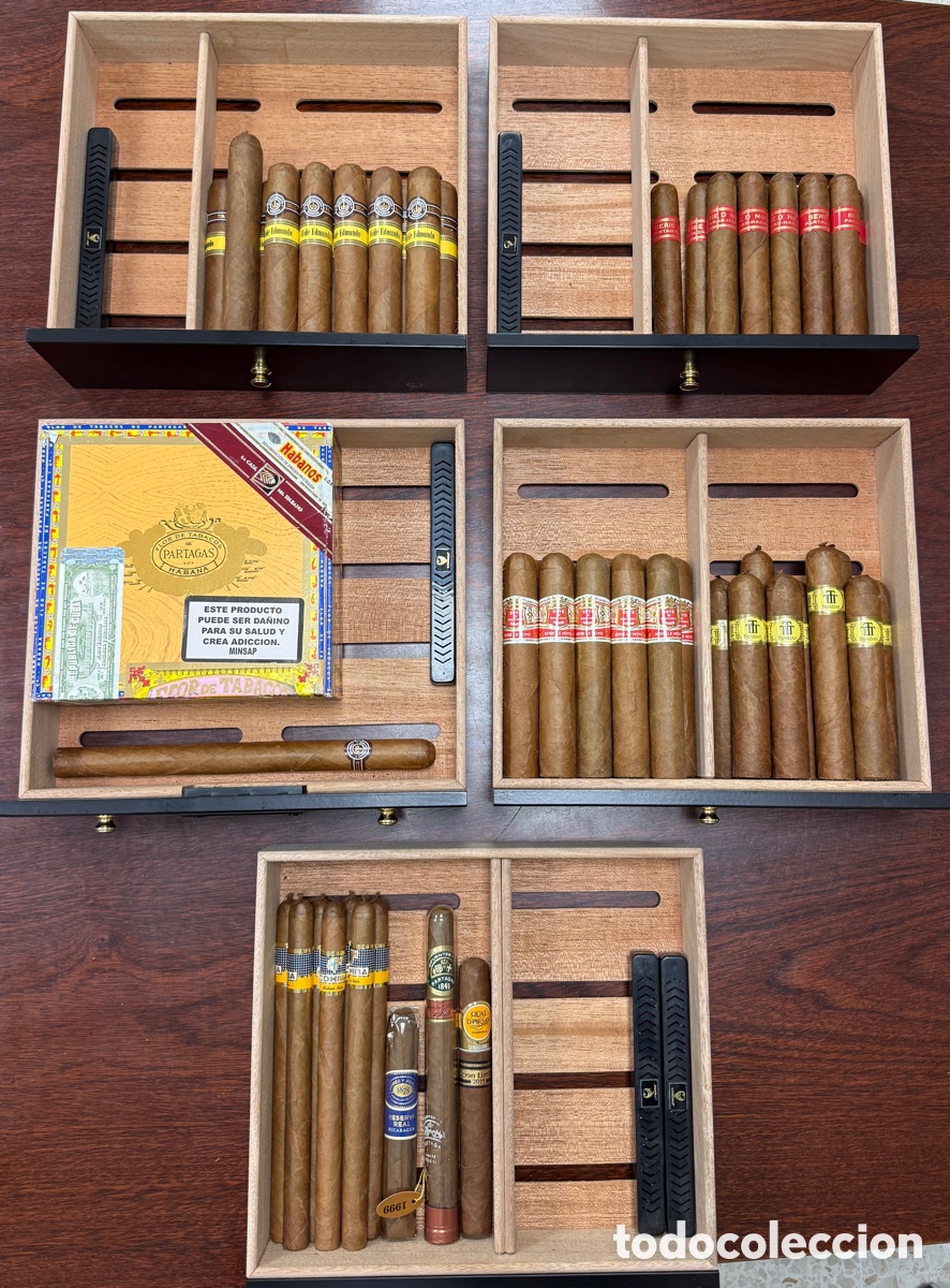 Cajas y cajitas met&aacute;licas: Lote de humidor + 61 puros. Habanos. Cigars