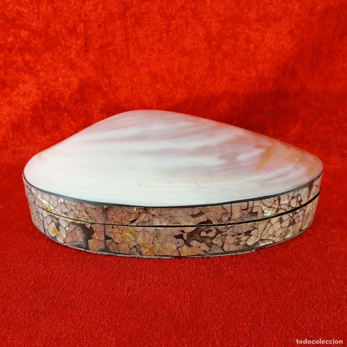 Cajas y cajitas met&aacute;licas: CAJA JOYERO CON CONCHAS MARINAS - NACAR - 18 X 12 CM - OPORTUNIDAD - ZARA HOME