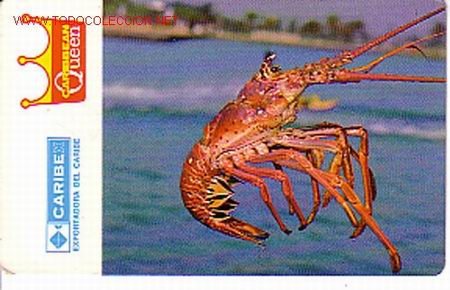 Coleccionismo calendarios: CALENDARIO DE BOLSILLO DE CARIBBEAN QUEEN. - Foto 1