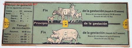 Colecionismo Calend&aacute;rios: ANTIGUA GUIA DE CARTULINA CON LOS TIEMPOS DE GESTACION DE ANIMALES DE GRANJA COMO CABRA, ASNO, PERRO