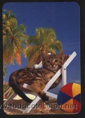 Coleccionismo calendarios: calendario tema animales 2007