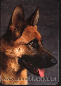 Coleccionismo calendarios: calendario tema animales, 2003 (sin publicidad)