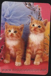 Coleccionismo calendarios: calendario publicitario - tema animales 2004