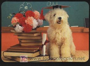 Coleccionismo calendarios: calendario publicitario- tema animales 2005