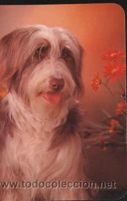 Coleccionismo calendarios: calendario publicitario- tema animales 1991
