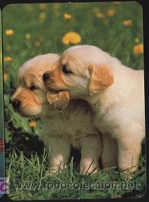 Coleccionismo calendarios: calendario publicitario- tema animales 2006