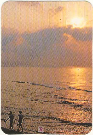 (CA-953)CALENDARIO DE BOLSILLO A&Ntilde;O 1990