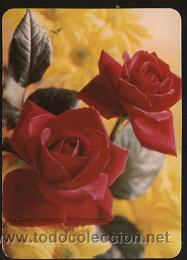 Coleccionismo calendarios: calendario tema flores, a&ntilde;o 2000