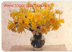 Coleccionismo calendarios: CAENDARIO DE BOLSILLO - FLORES ((A&Ntilde;O 1998) - Foto 1