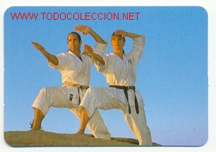 Colecionismo Calend&aacute;rios: CALENDARIO - DEPORTES - ARTES MARCIALES (A&Ntilde;O 2001)